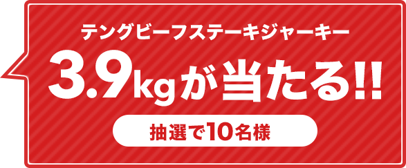 テングビーフステーキジャーキ 3.9kgが当たる！