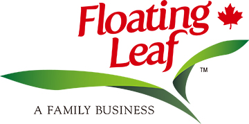 Floating Leaf